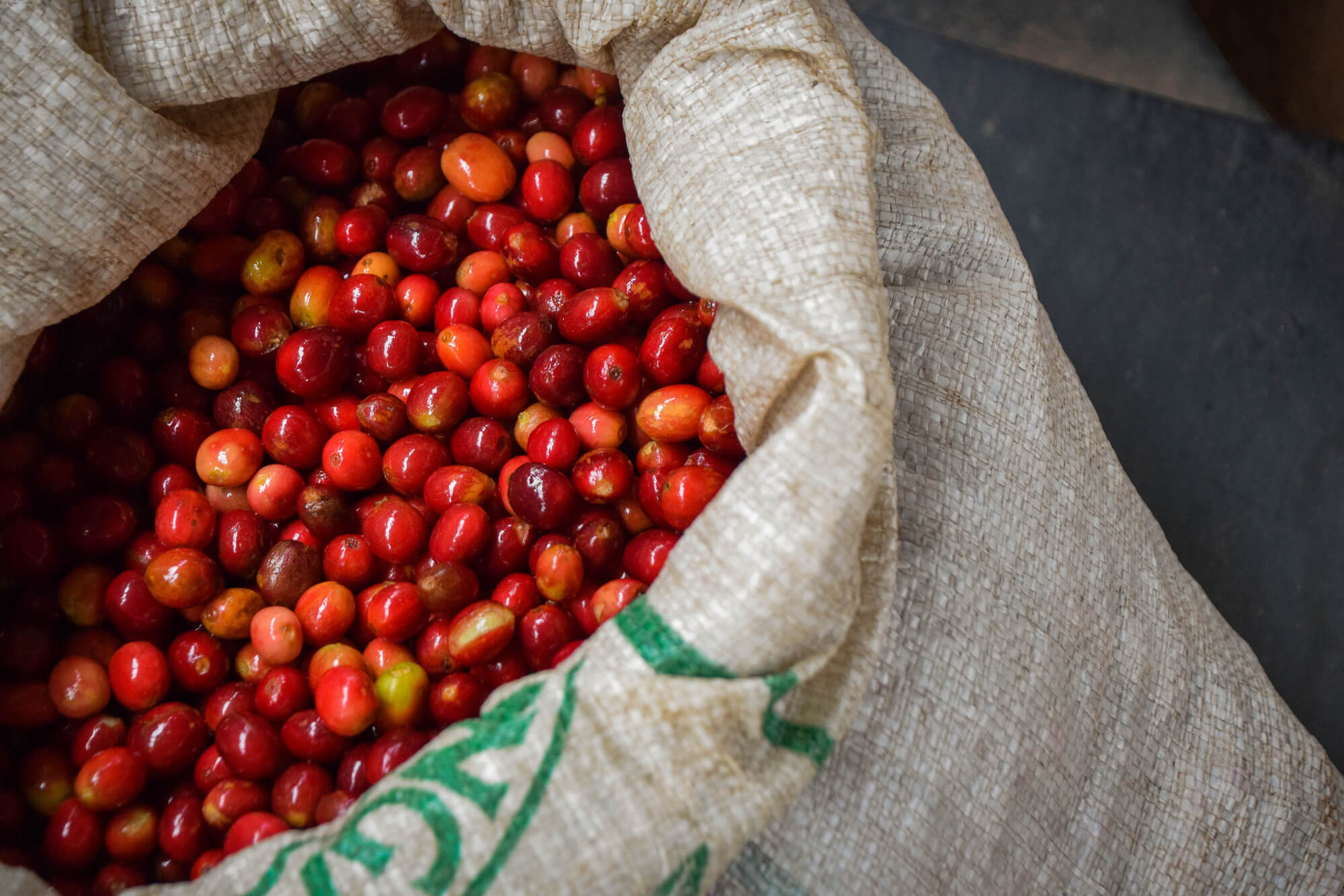 The Coffee Officina Cascara Coffee Cherry Tea and Migoti Hill Burundi coffee process 3