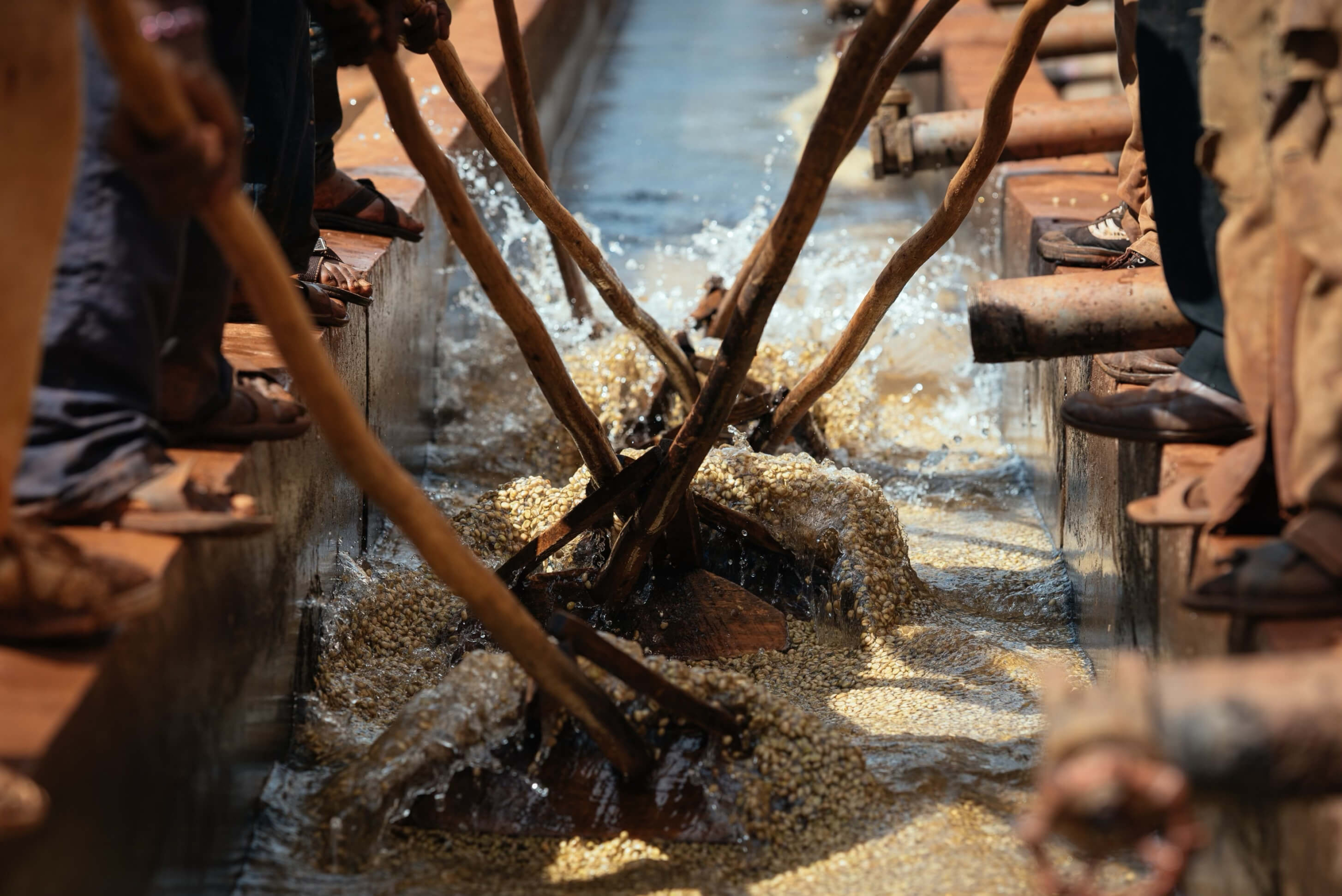 The Coffee Officina Guji Uraga Ethiopia Single Origin