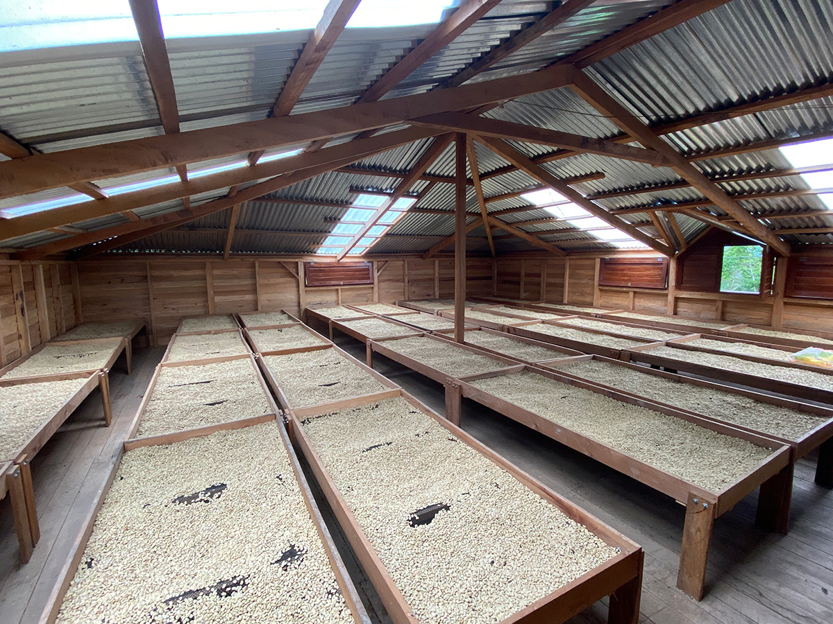 The Coffee Officina Aprocoyce Peru Swiss Water Decaf