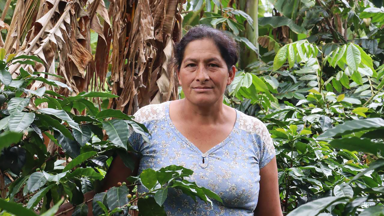 The Coffee Officina Ismeria Leon Peru Single Origin