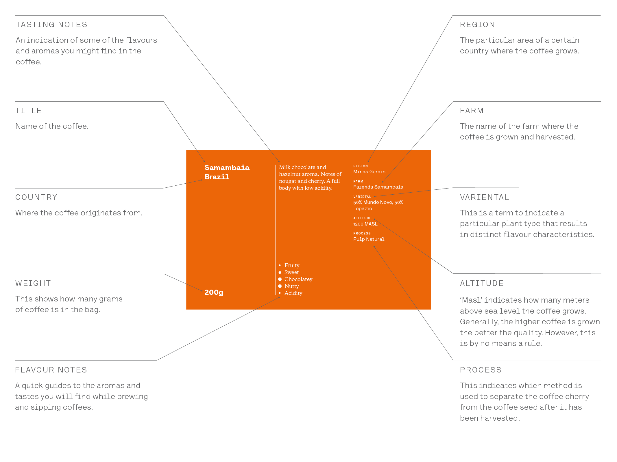 The Coffee Officina packaging